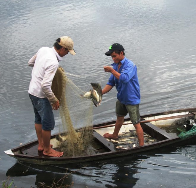 bắt cá dễ dàng