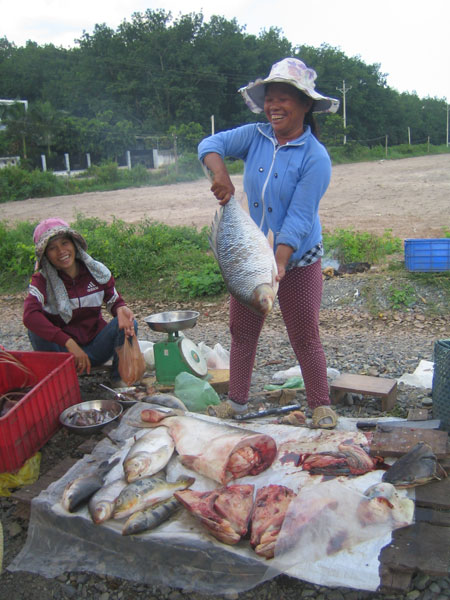 Những con cá to như thế này được bày bán ven đường không còn nhiều ở đập thủy lợi Phước Hòa- Thống Nhất