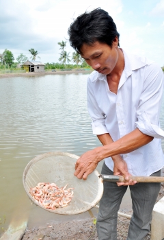 bệnh gan tụy