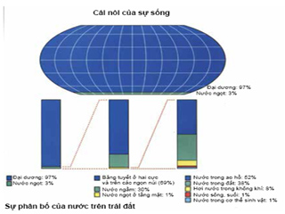 biển sự sống