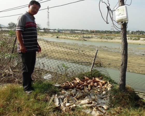 bồi thường thủy sản khánh hòa