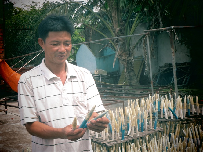 bong bóng cá tra, cá tra, chế biến cá tra, xuất khẩu cá tra, chế biến cá, bong bóng cá