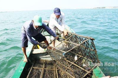 bóng mực