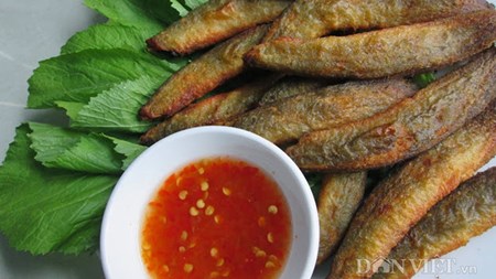 cá chạch chiên