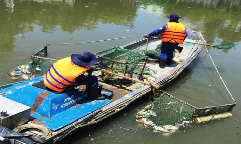 cá chết sông Nhiêu Lộc