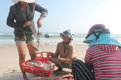 theo chân người bắt cá Khoai