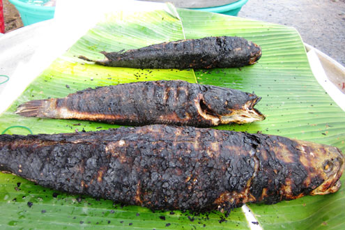 Con cá lóc nướng to nhất được bán sáng nay với giá 280.000 đồng, khoảng 1,5 kg (con ngoài cùng).