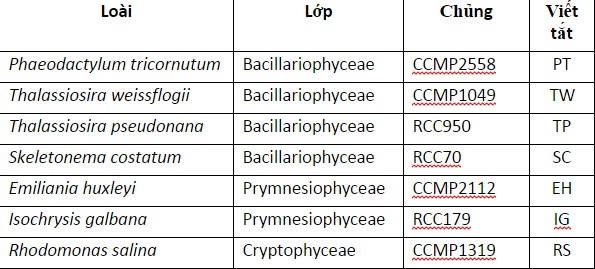 các loại tảo