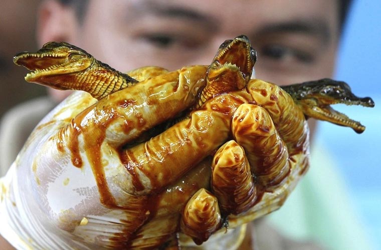 Và hoàn toàn khỏe mạnh để đương đầu với cuộc sống trước mắt...