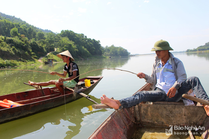 Nhọc nhằn nghề câu cá bống trên sông Lam