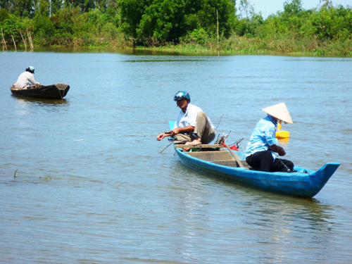 câu cá linh