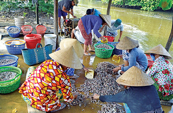 câu lạc bộ nuôi cá