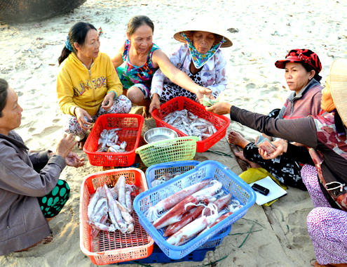 câu mực đêm