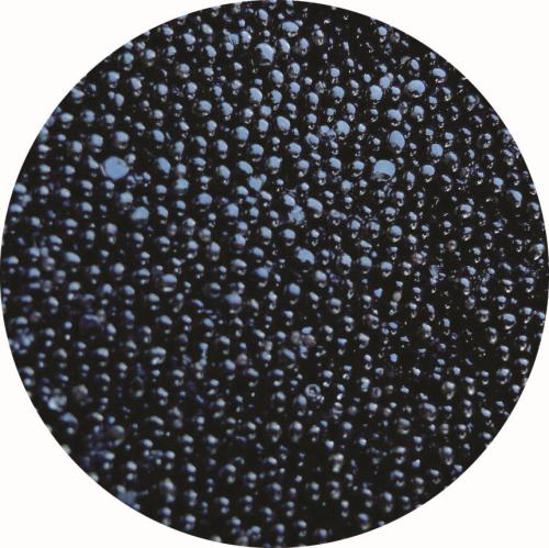 Caviar mới được sản xuất