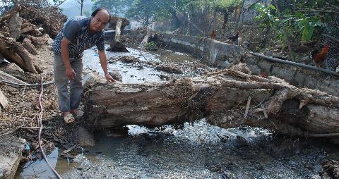 Cây cối còn ngổn ngang trên diện tích ao nuôi