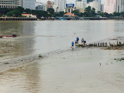 chài lưới