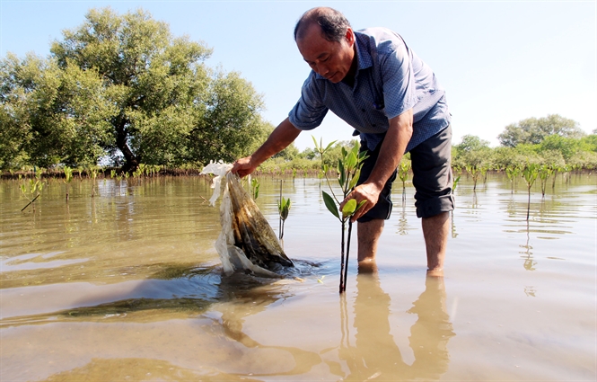 chăm sóc cây trồng