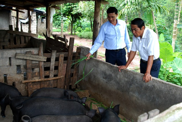 chăn nuôi lợn