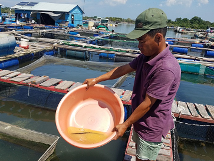 Chất lạ trên sông chà và, chất lạ trên sông nuôi cá, nước sông chà và, môi trường nuôi