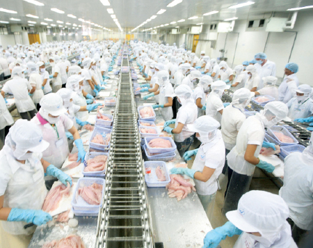 che bien ca tra anvfish