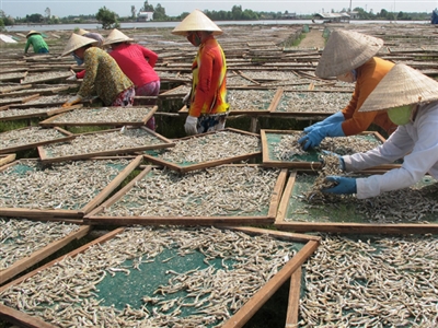 Hải sản được chế biến quy mô lớn.