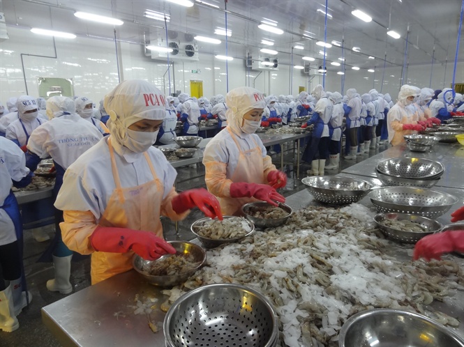 sản phẩm tôm, chế biến tôm, xuất khẩu tôm, tôm, nuôi tôm, thị trường tôm, thủy sản