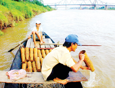 chèo thuyền