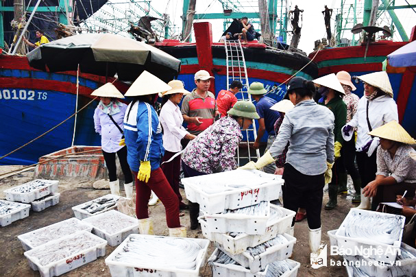 ngư dân, thủy sản, khai thác thủy sản, đánh bắt thủy sản, tàu cá