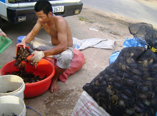 Chợ cua đồng Khánh An