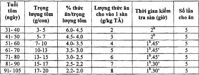 Quy trình nuôi tôm siêu thâm canh, kỹ thuật nuôi tôm, quy trình nuôi tôm, nuôi tôm