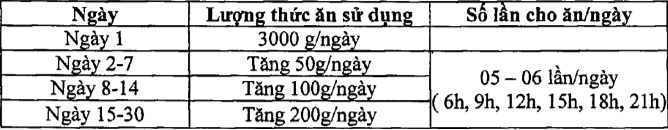 Quy trình nuôi tôm siêu thâm canh, kỹ thuật nuôi tôm, quy trình nuôi tôm, nuôi tôm