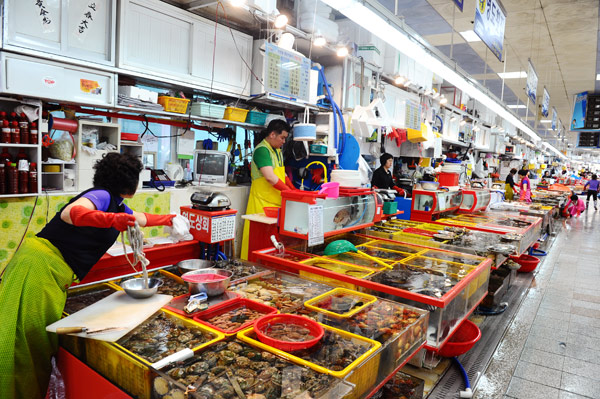 Những người làm nghề bán cá chủ yếu ở độ tuổi trung niên trở lên.