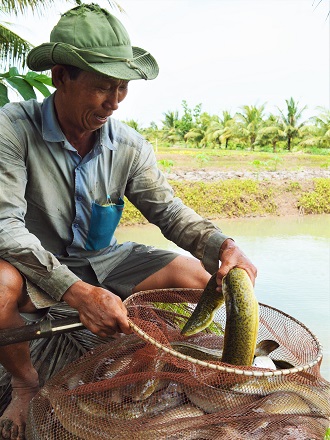 chuyển đổi đất kém hiệu quả sang đa canh