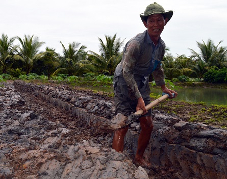 chuyển đổi đất kém hiệu quả sang đa canh, nuôi cá, nuôi cá chình