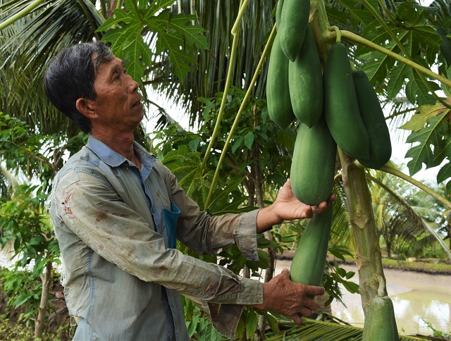 chuyển đổi đất kém hiệu quả sang đa canh, nuôi cá, nuôi cá chình