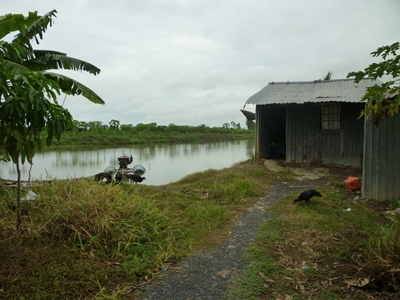 Cơ sở cá tra giống bỏ hoang của ông Lê Thành Long. Ảnh: Trường ca.