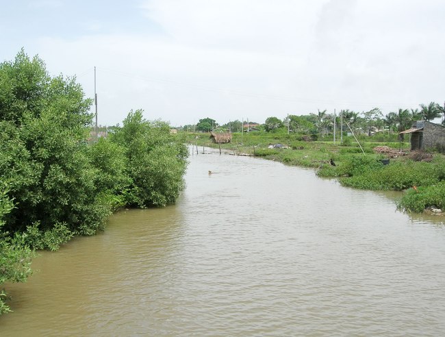 Theo lãnh đạo UBND xã Hiệp Thành, TP Bạc Liêu, tổng diện tích đất nuôi trồng thủy sản ở địa phương này chỉ có 662 ha nên bình quân 1 hộ chỉ có khoảng 4.000-5.000 m2 đất nuôi trồng thủy sản. Trong đi đại gia Trần Kia 