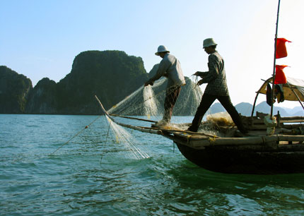 đánh bắt cá, khai thác thủy sản, nguồn lợi thủy sản, vịnh hạ long