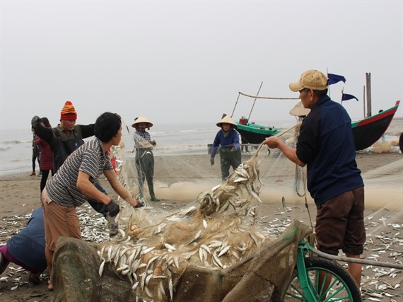 trúng đậm cá biển, thủy sản, đánh bắt thủy sản, cá, đánh bắt cá