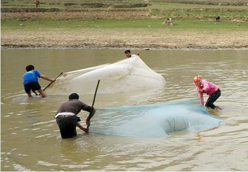 Công cụ bắt cá là những tấm lưới thô sơ
