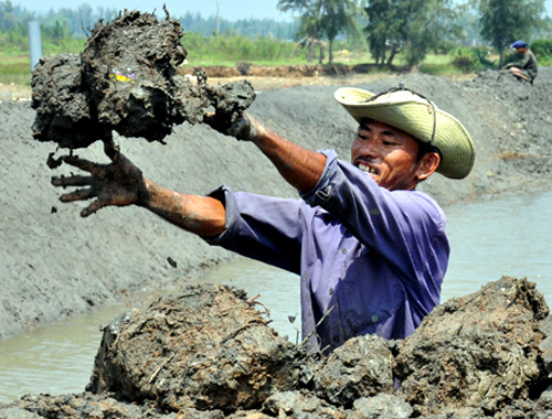 đào ao thả tôm