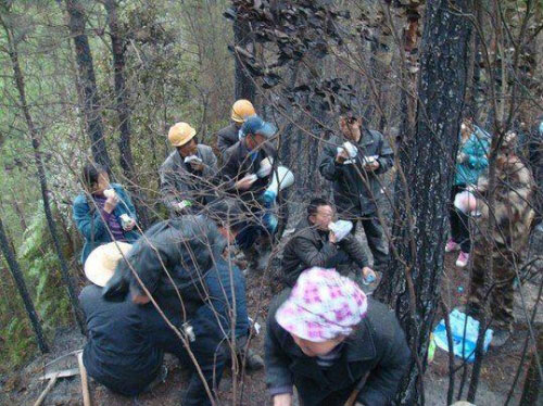 Người dân tham gia dập tắt ngọn lửa.