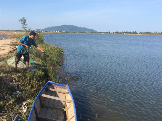 con giống, nuôi tôm, nuôi trồng thủy sản, thủy sản, nuôi tôm Hà Tĩnh, Bệnh trên tôm, bệnh còi trên tôm