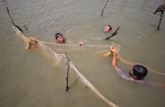 bắt cá Quảng Nam bằng chuôm