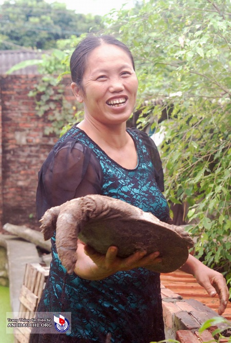 Nữ doanh nhân Trần Thị Tuyết