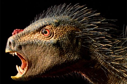 khủng long ma cà rồng