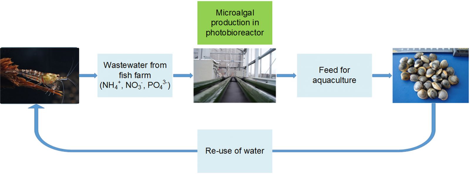 Utilize multi-trophic aquaculture, nuôi trồng thủy sản, thủy sản