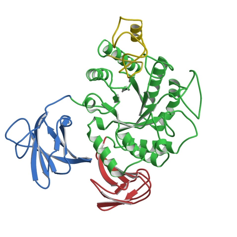 enzyme với động vật thủy sản, enzyme động vật thủy sản, thủy sản, amylase