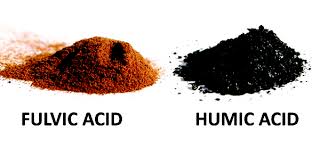 acid fulvic, acid fulvic trong thủy sản, vai trò acid fulvic, acid fulvic trên cá