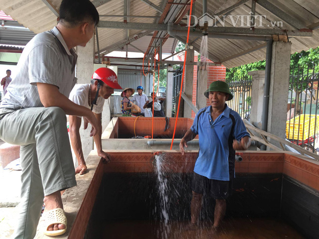 ương cá giống, Gia Cát Lượng, Gia Cát Lượng ương cá giống, thu nhập cao, lãi ròng, cách ương cá giống, làm giàu từ nông nghiệp, nhà nông làm giàu từ cá giống, mô hình cá giống Bắc Giang